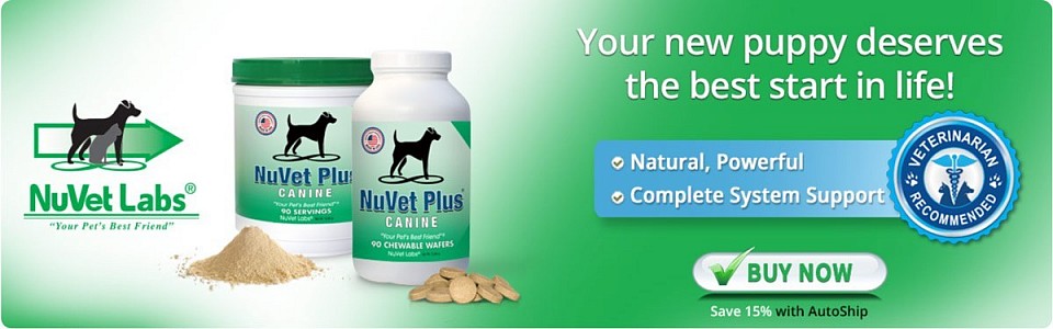 Nuvet Supplements