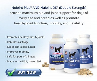 Nujoint Supplements