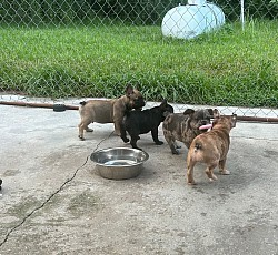 They love their outside time. 7-16-24