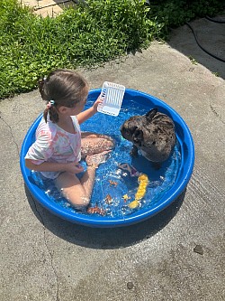 Mia and Gracie having fun in the pool on a hot day. 7-4-24