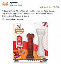 Nylabone bone