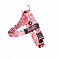 Bullhug harness